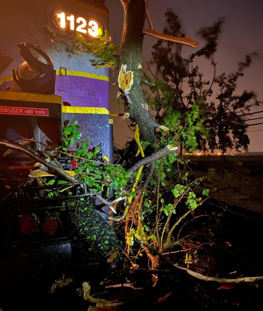 commuter-rail-tree-down900xx3024-3584-0-224