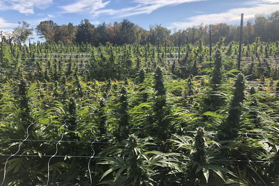 nova-farms-sheffield900xx4032-2688-0-168