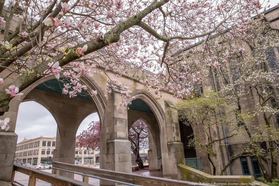 boston-university-23900xx6720-4480-0-0 boston-university-23900xx6720-4480-0-0