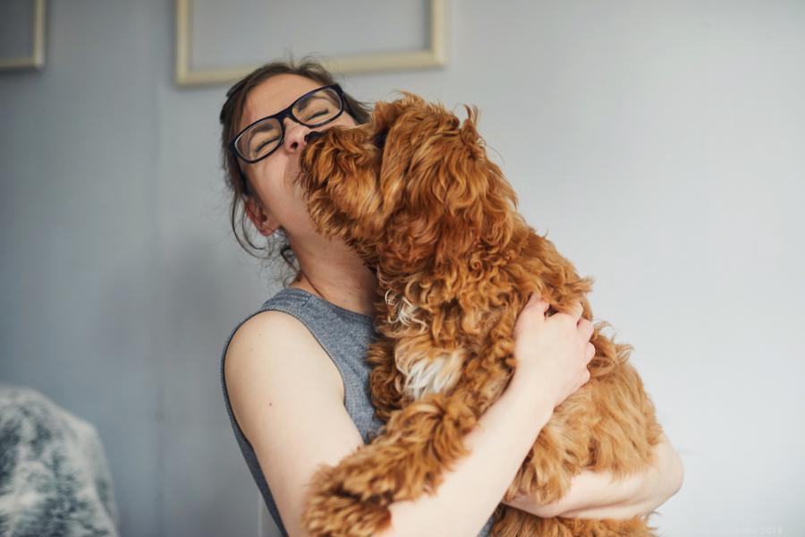 Why companies are doubling down on a pet-related job perk Why companies are doubling down on a pet-related job perk