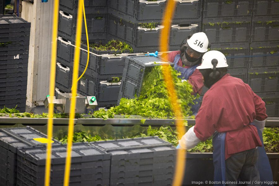 Mass. produce company avoids pitfalls of family-owned businesses Mass. produce company avoids pitfalls of family-owned businesses