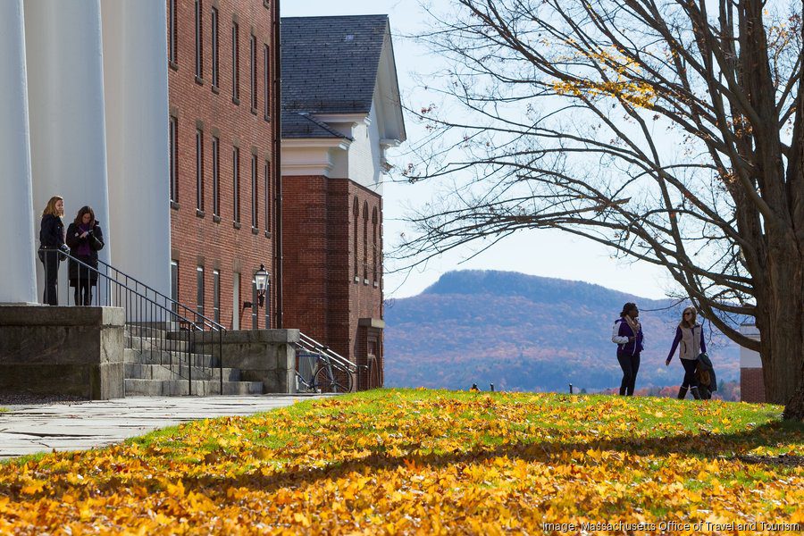 Trump's new college endowment tax eases burden on small schools Trump's new college endowment tax eases burden on small schools